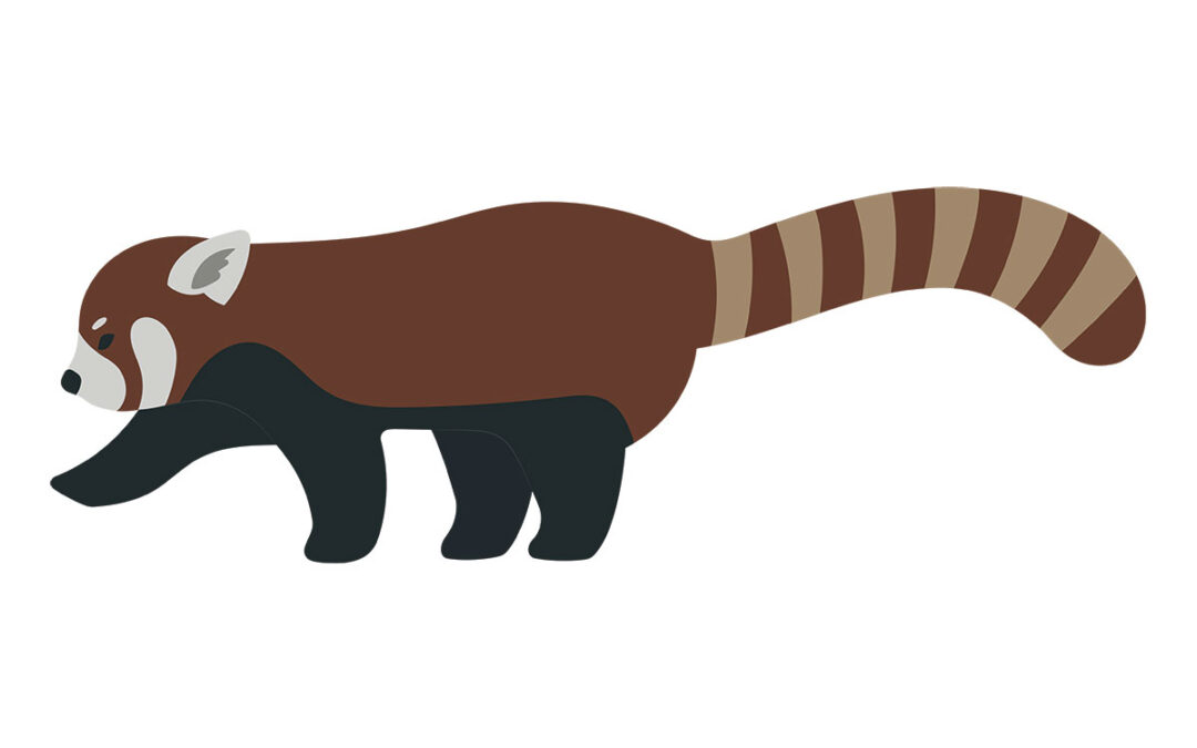 Red Panda Infographic